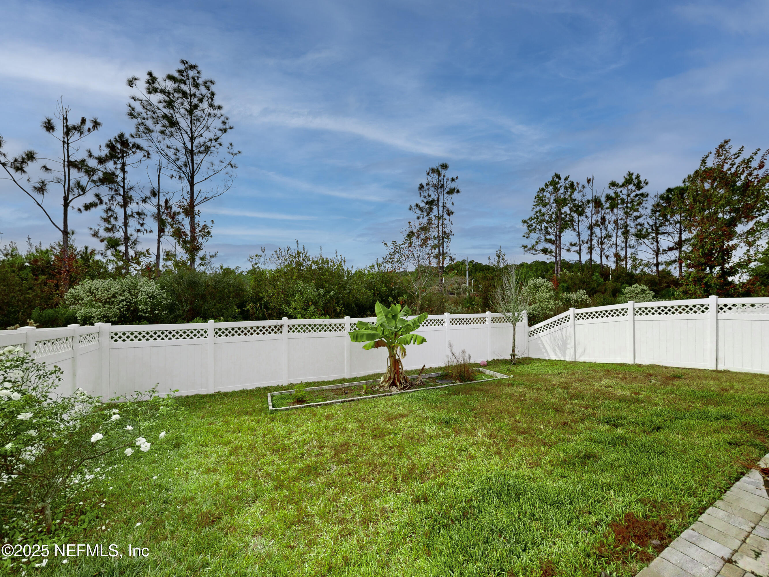 210 Thistleton Way Street St. Augustine, FL 32092 - Photo 32 of 38 a view of a park with large trees