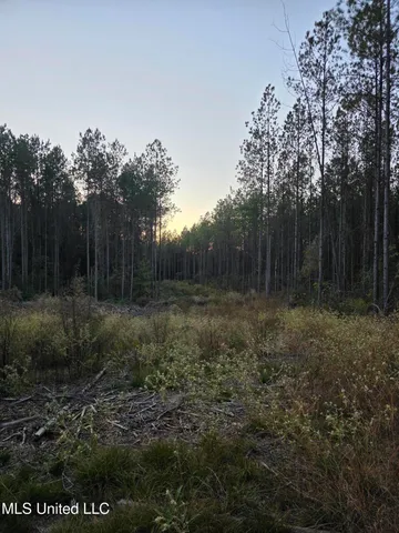 $256,000 | 77 County Road, Mize, MS 39116