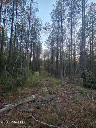 $249,000 | 77 County Road, Mize, MS 39116