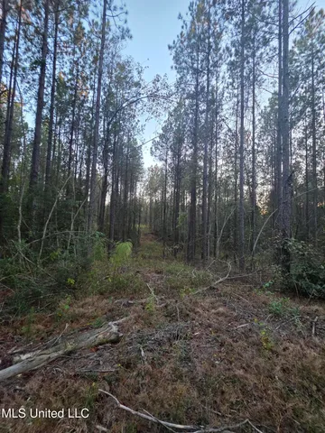 $256,000 | 77 County Road, Mize, MS 39116