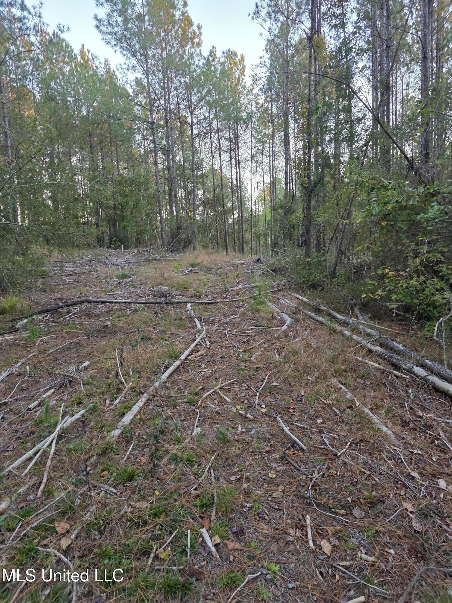77 County Road Mize, MS 39116 - Photo 18 of 38 19329