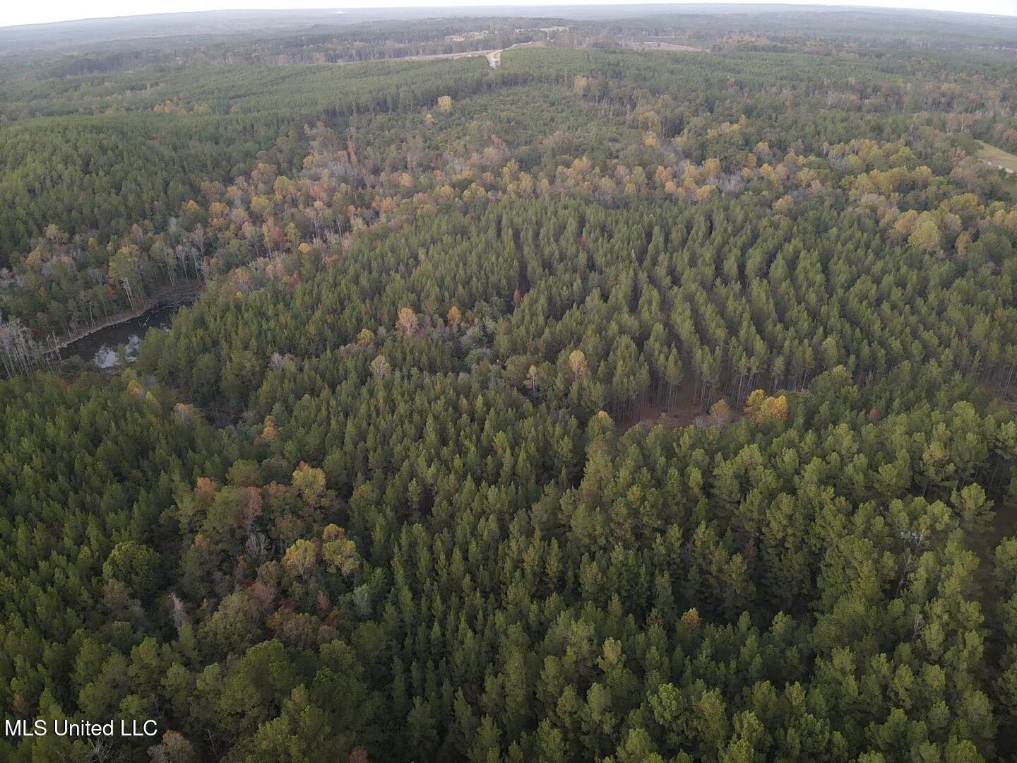 77 County Road Mize, MS 39116 - Photo 2 of 38 19350