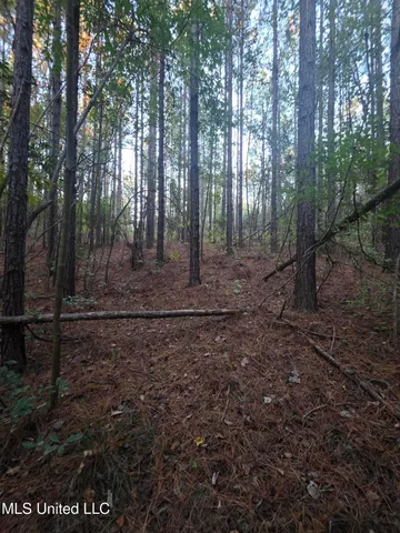 $256,000 | 77 County Road, Mize, MS 39116