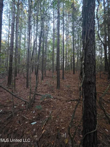 $256,000 | 77 County Road, Mize, MS 39116