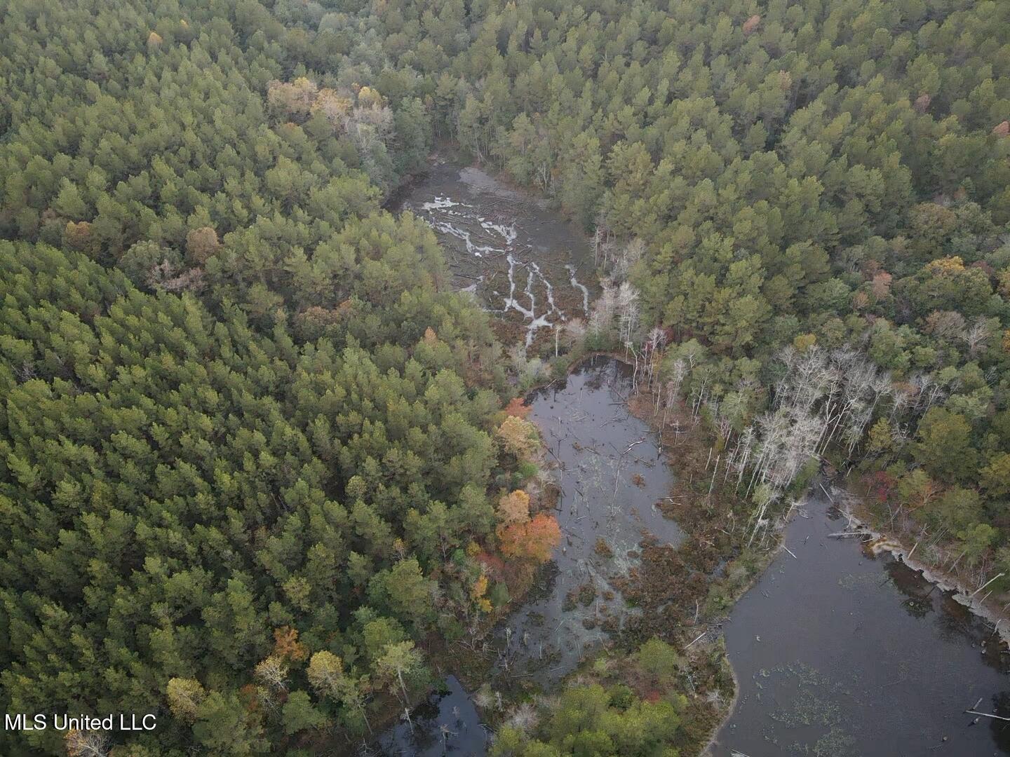 77 County Road Mize, MS 39116 - Photo 3 of 38 19348