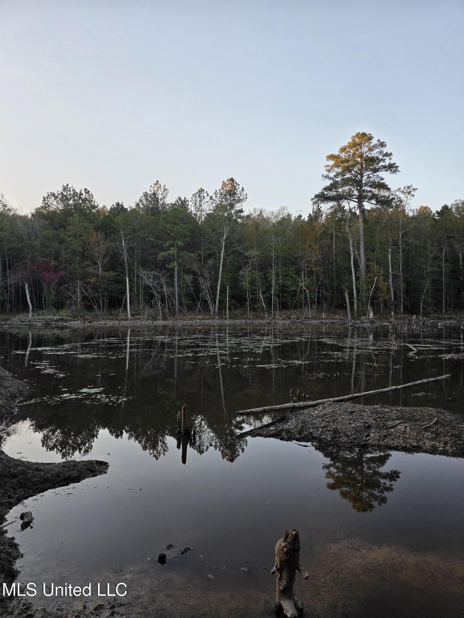 77 County Road Mize, MS 39116 - Photo 31 of 38 19293