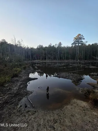 $249,000 | 77 County Road, Mize, MS 39116