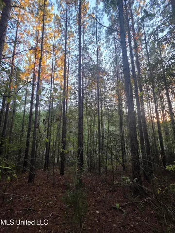 $256,000 | 77 County Road, Mize, MS 39116