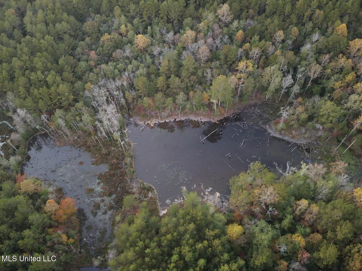 77 County Road Mize, MS 39116 - Photo 4 of 38 19347
