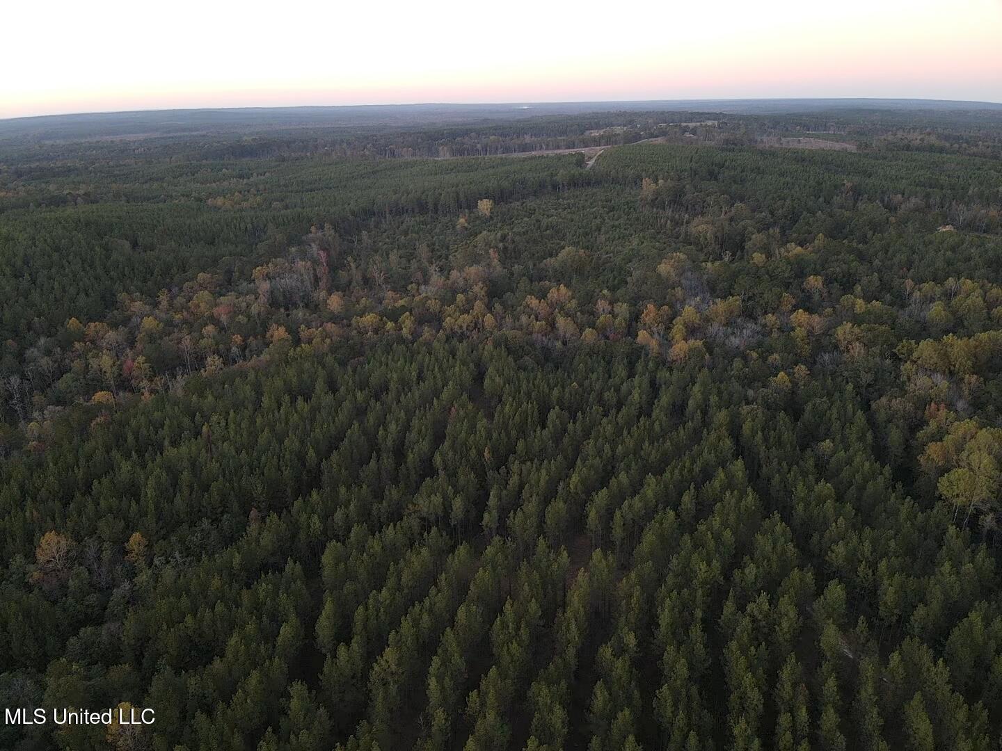 77 County Road Mize, MS 39116 - Photo 5 of 38 19343