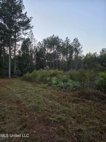 $256,000 | 77 County Road, Mize, MS 39116