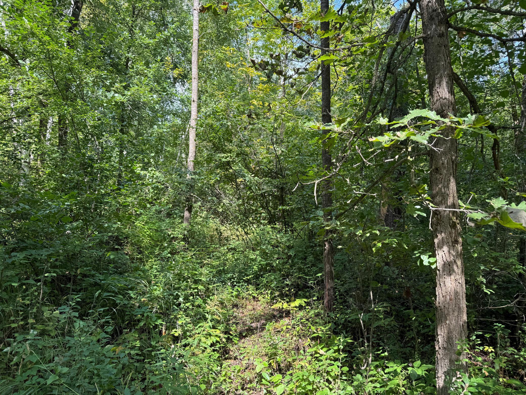 33622 Aspen Road Hinckley, MN 55037 - Photo 15 of 44