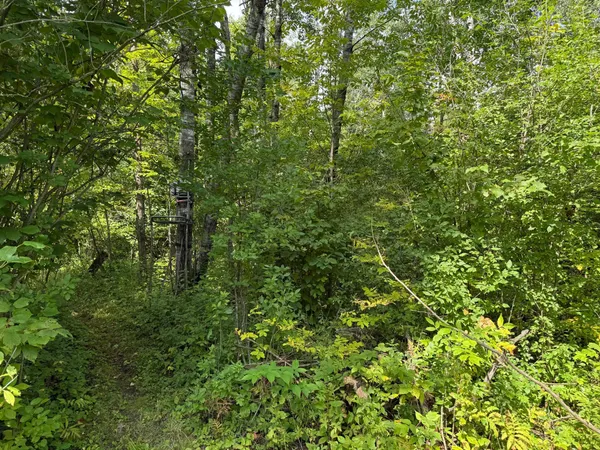 $180,000 | 33622 Aspen Road, Hinckley, MN 55037