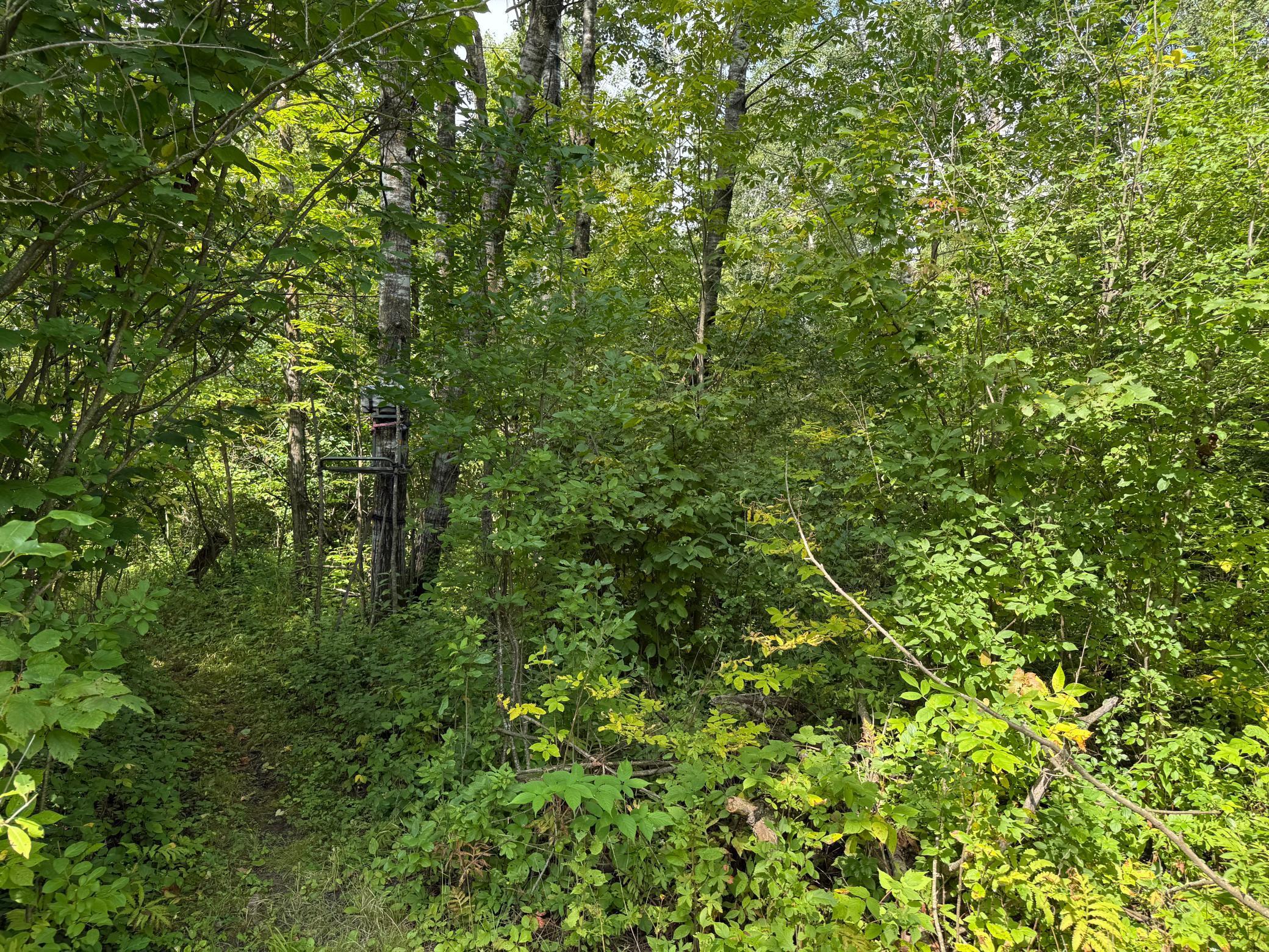 33622 Aspen Road Hinckley, MN 55037 - Photo 16 of 44