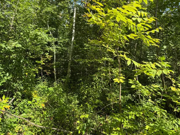 $180,000 | 33622 Aspen Road, Hinckley, MN 55037