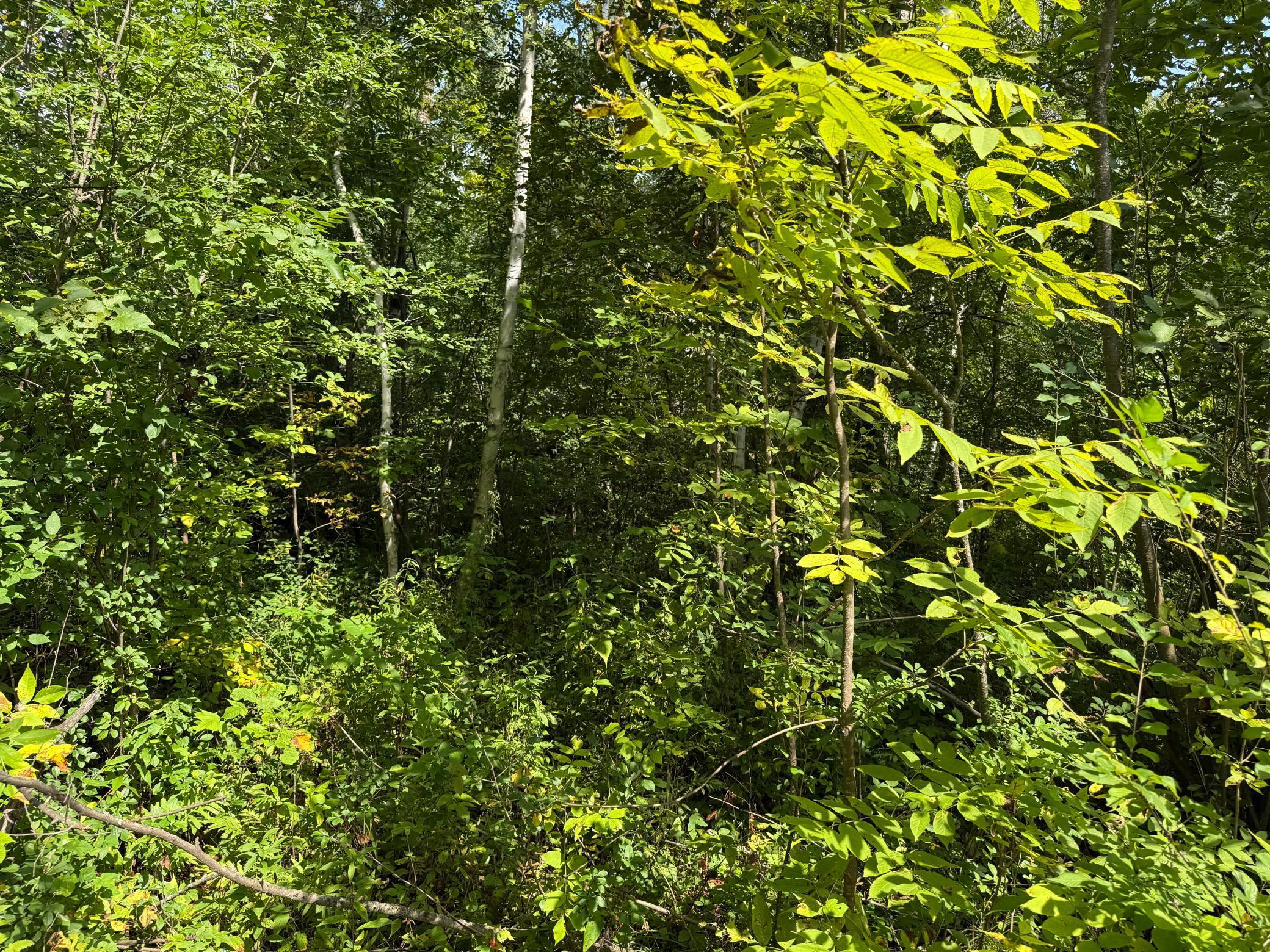 33622 Aspen Road Hinckley, MN 55037 - Photo 17 of 44