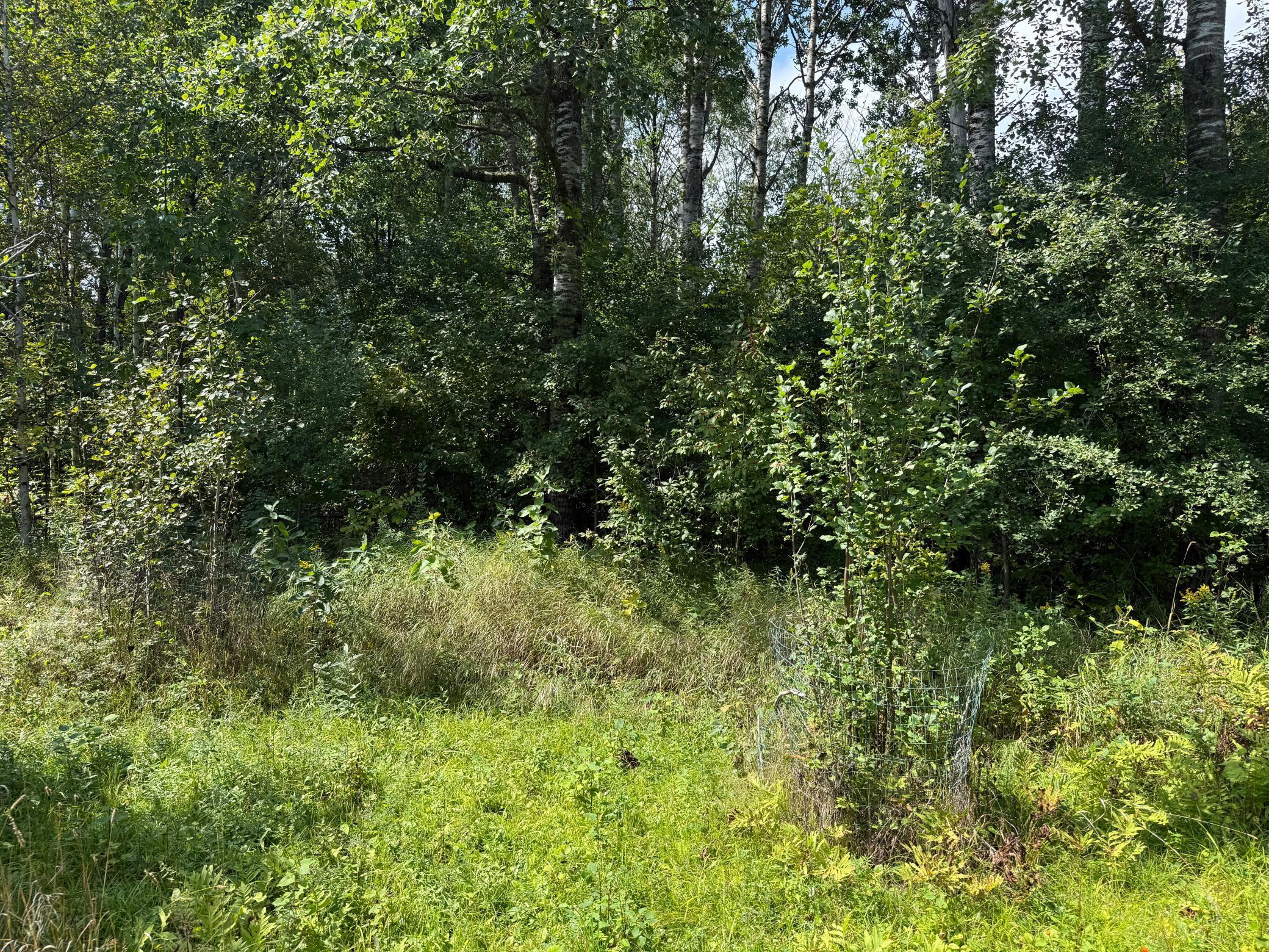 33622 Aspen Road Hinckley, MN 55037 - Photo 18 of 44