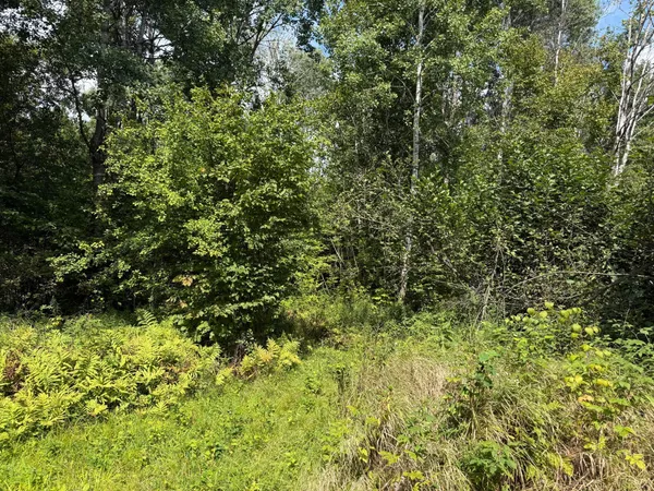 $180,000 | 33622 Aspen Road, Hinckley, MN 55037