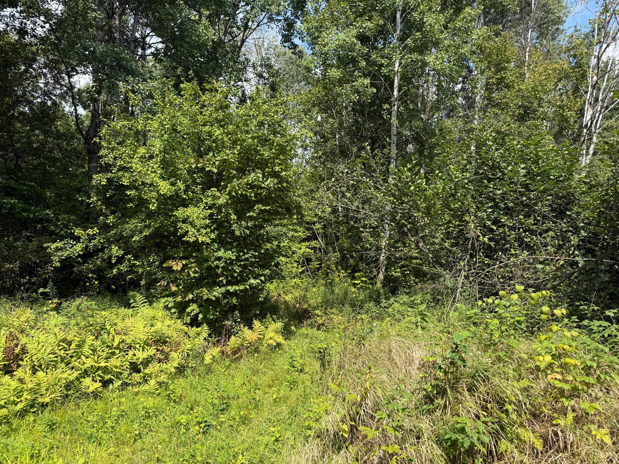 33622 Aspen Road Hinckley, MN 55037 - Photo 19 of 44