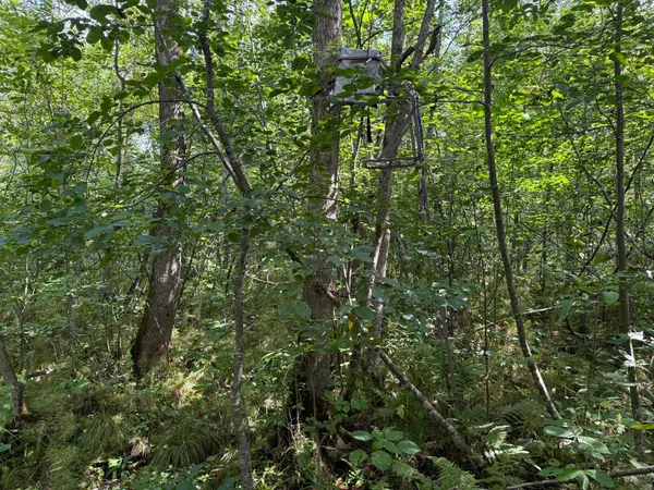 $180,000 | 33622 Aspen Road, Hinckley, MN 55037