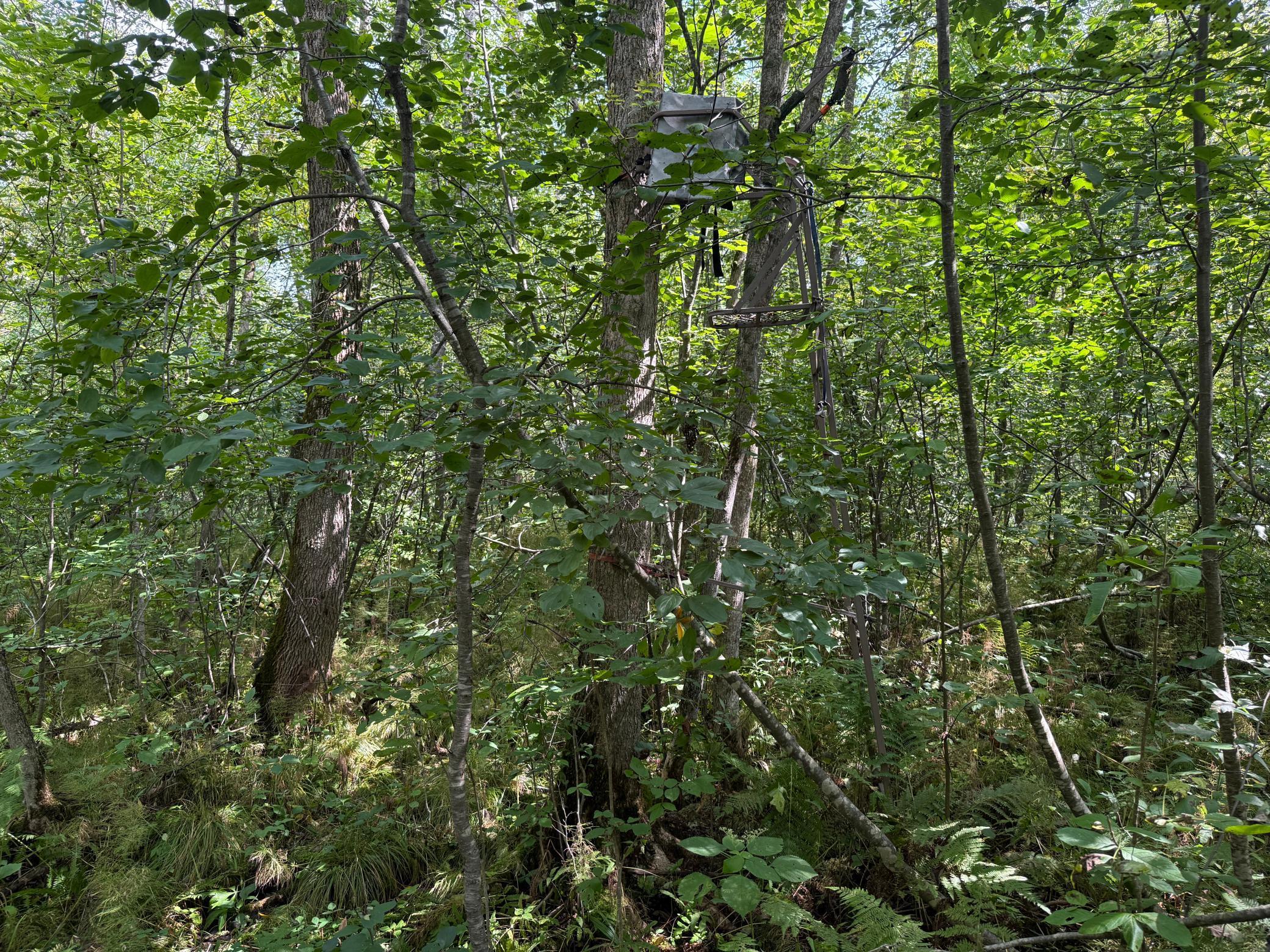 33622 Aspen Road Hinckley, MN 55037 - Photo 20 of 44