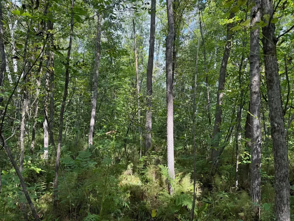 $180,000 | 33622 Aspen Road, Hinckley, MN 55037