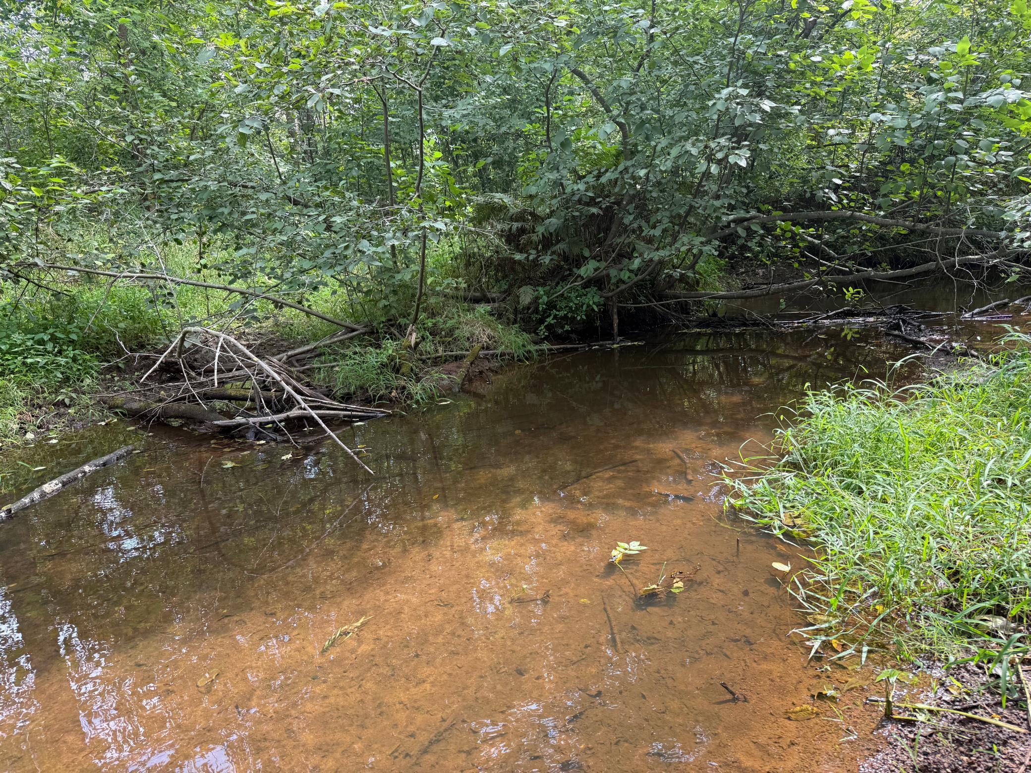 33622 Aspen Road Hinckley, MN 55037 - Photo 23 of 44