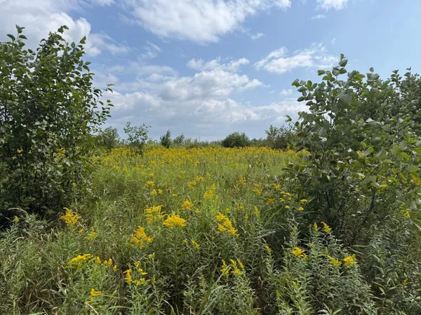 $180,000 | 33622 Aspen Road, Hinckley, MN 55037