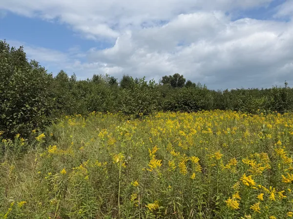 $180,000 | 33622 Aspen Road, Hinckley, MN 55037