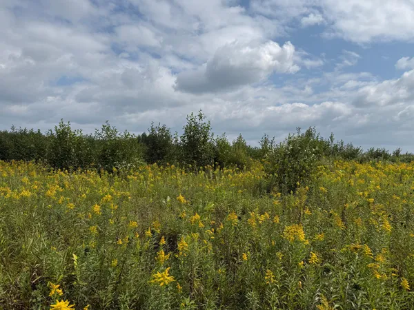 $180,000 | 33622 Aspen Road, Hinckley, MN 55037