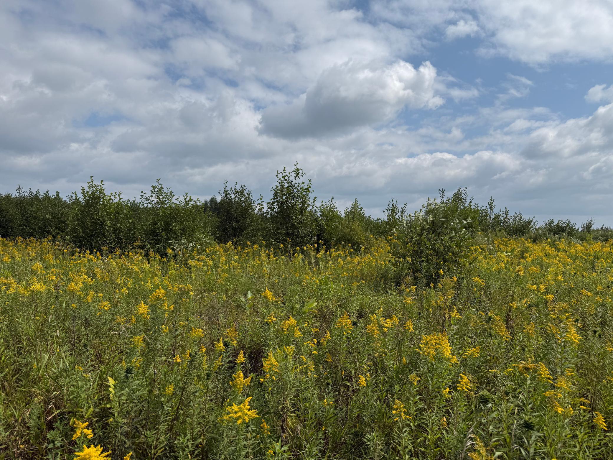 33622 Aspen Road Hinckley, MN 55037 - Photo 28 of 44