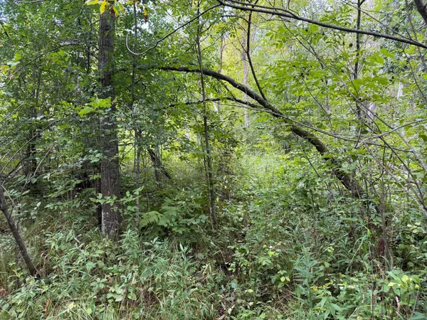 $180,000 | 33622 Aspen Road, Hinckley, MN 55037