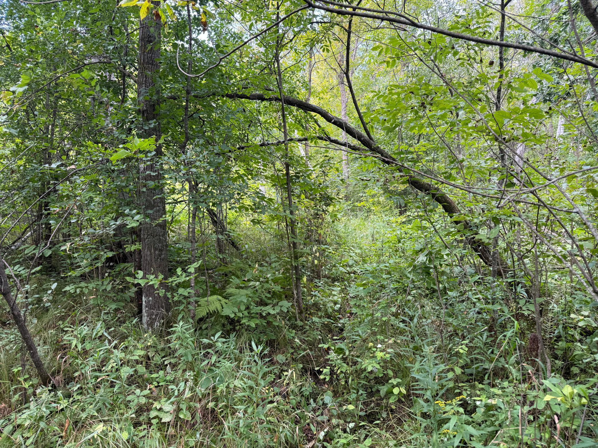 33622 Aspen Road Hinckley, MN 55037 - Photo 29 of 44