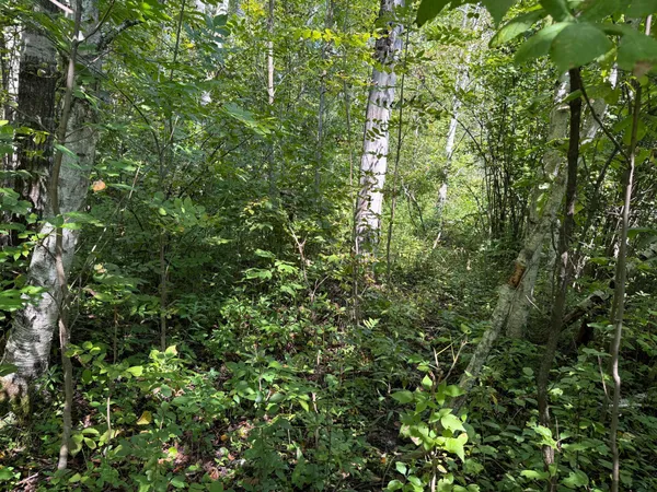 $180,000 | 33622 Aspen Road, Hinckley, MN 55037