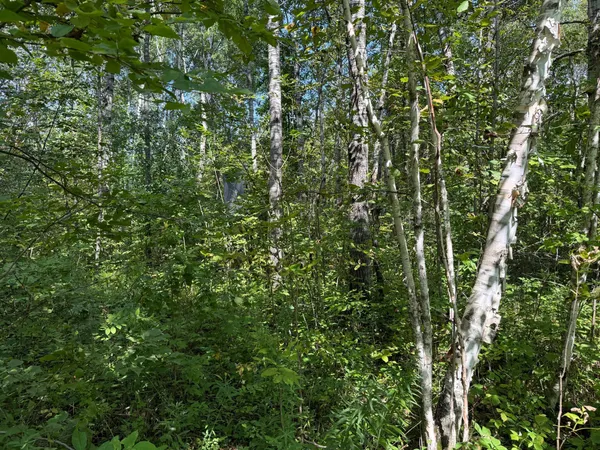 $180,000 | 33622 Aspen Road, Hinckley, MN 55037