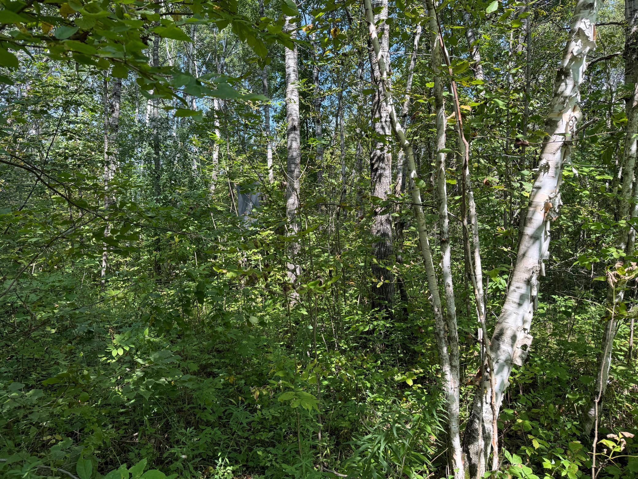 33622 Aspen Road Hinckley, MN 55037 - Photo 31 of 44