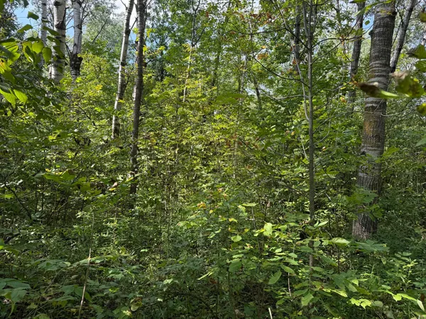 $180,000 | 33622 Aspen Road, Hinckley, MN 55037