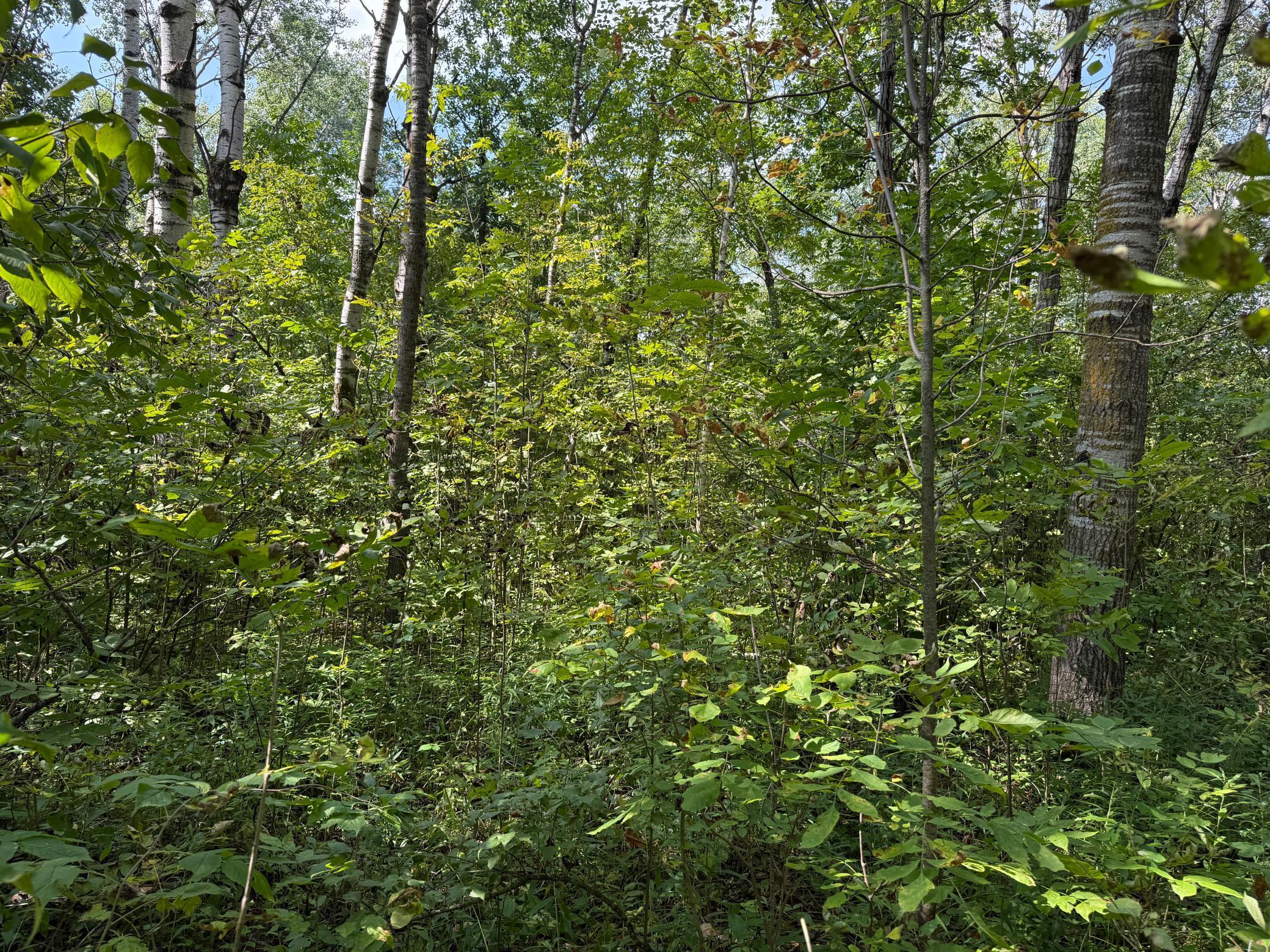 33622 Aspen Road Hinckley, MN 55037 - Photo 32 of 44