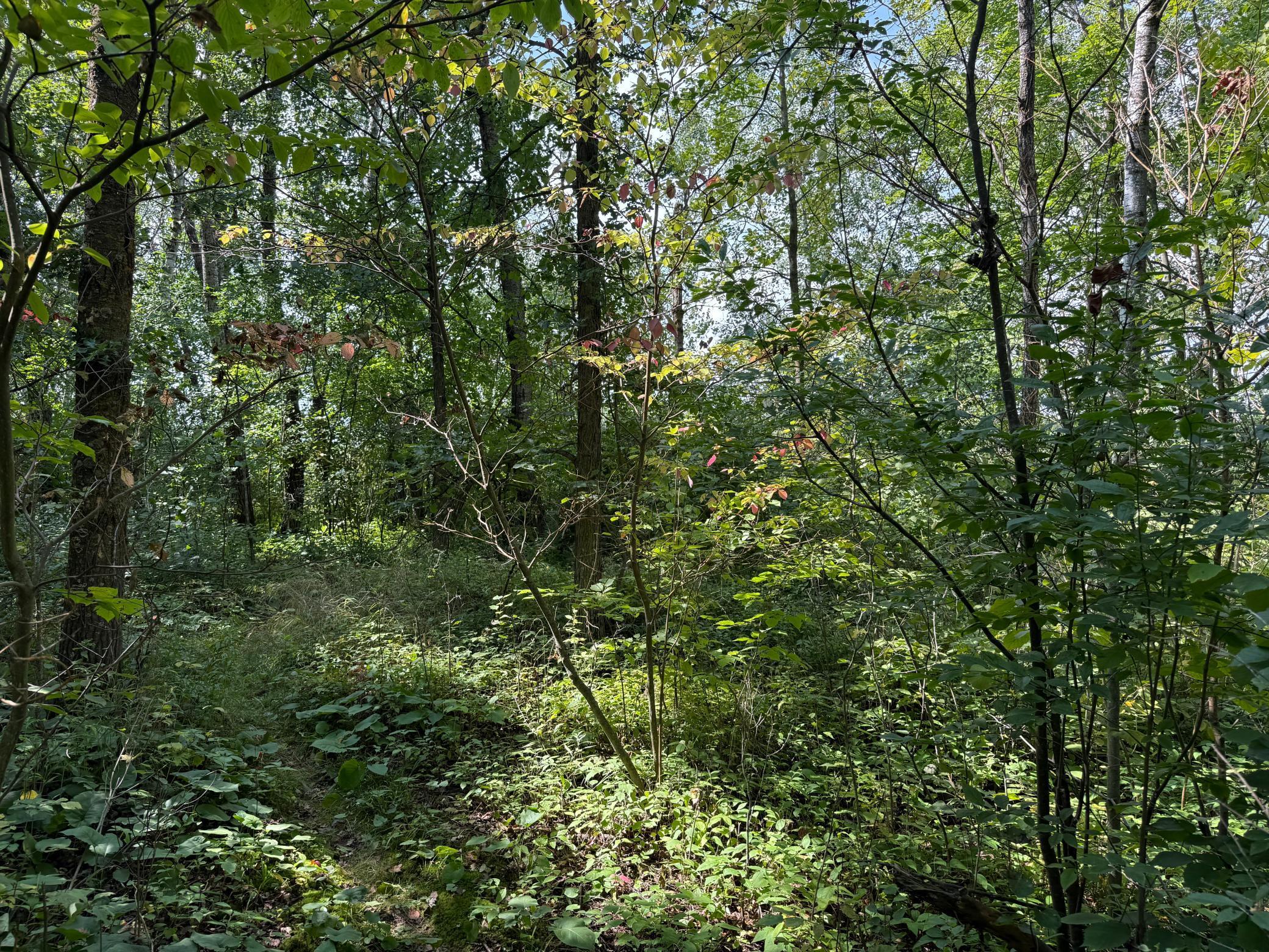 33622 Aspen Road Hinckley, MN 55037 - Photo 34 of 44