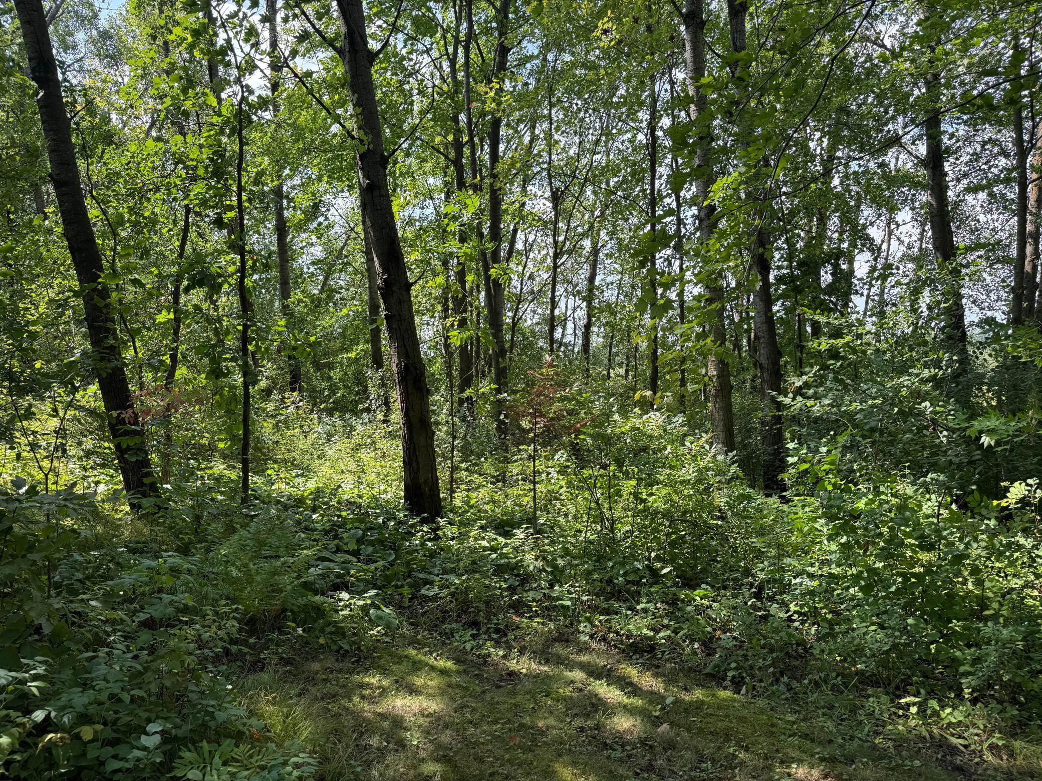 33622 Aspen Road Hinckley, MN 55037 - Photo 35 of 44