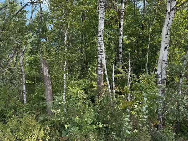 $180,000 | 33622 Aspen Road, Hinckley, MN 55037