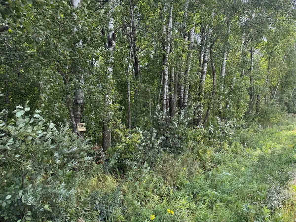 $180,000 | 33622 Aspen Road, Hinckley, MN 55037