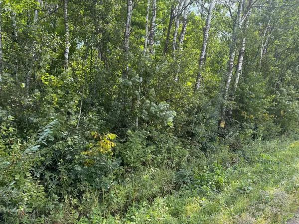 $180,000 | 33622 Aspen Road, Hinckley, MN 55037