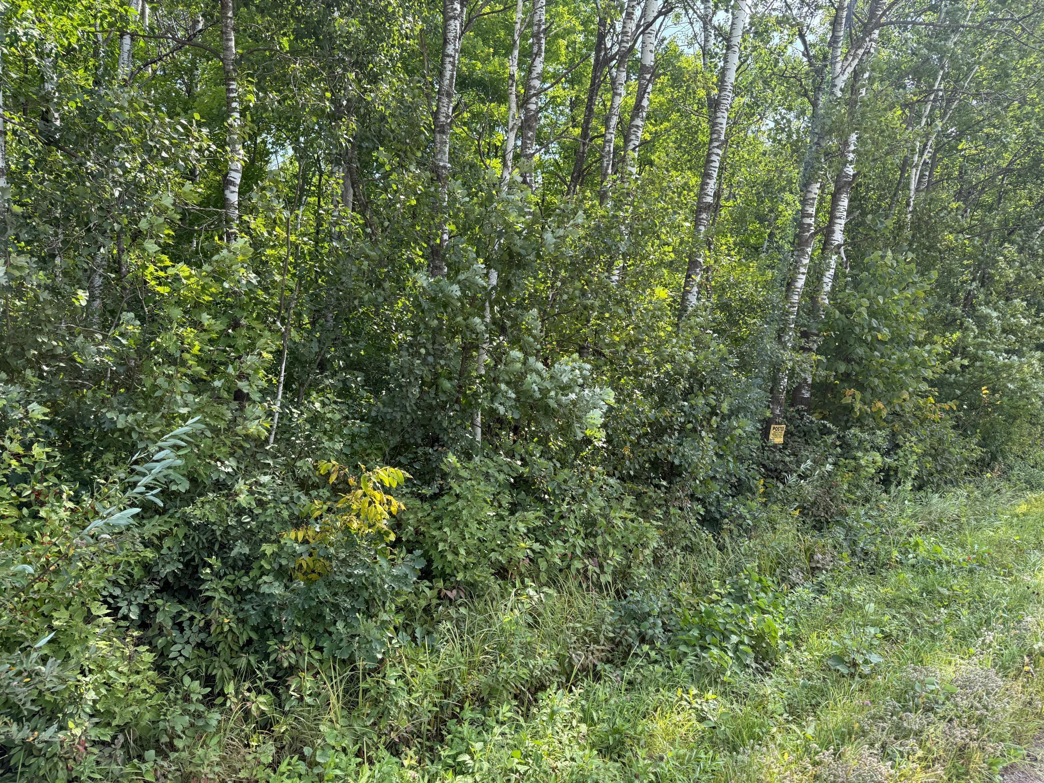 33622 Aspen Road Hinckley, MN 55037 - Photo 40 of 44