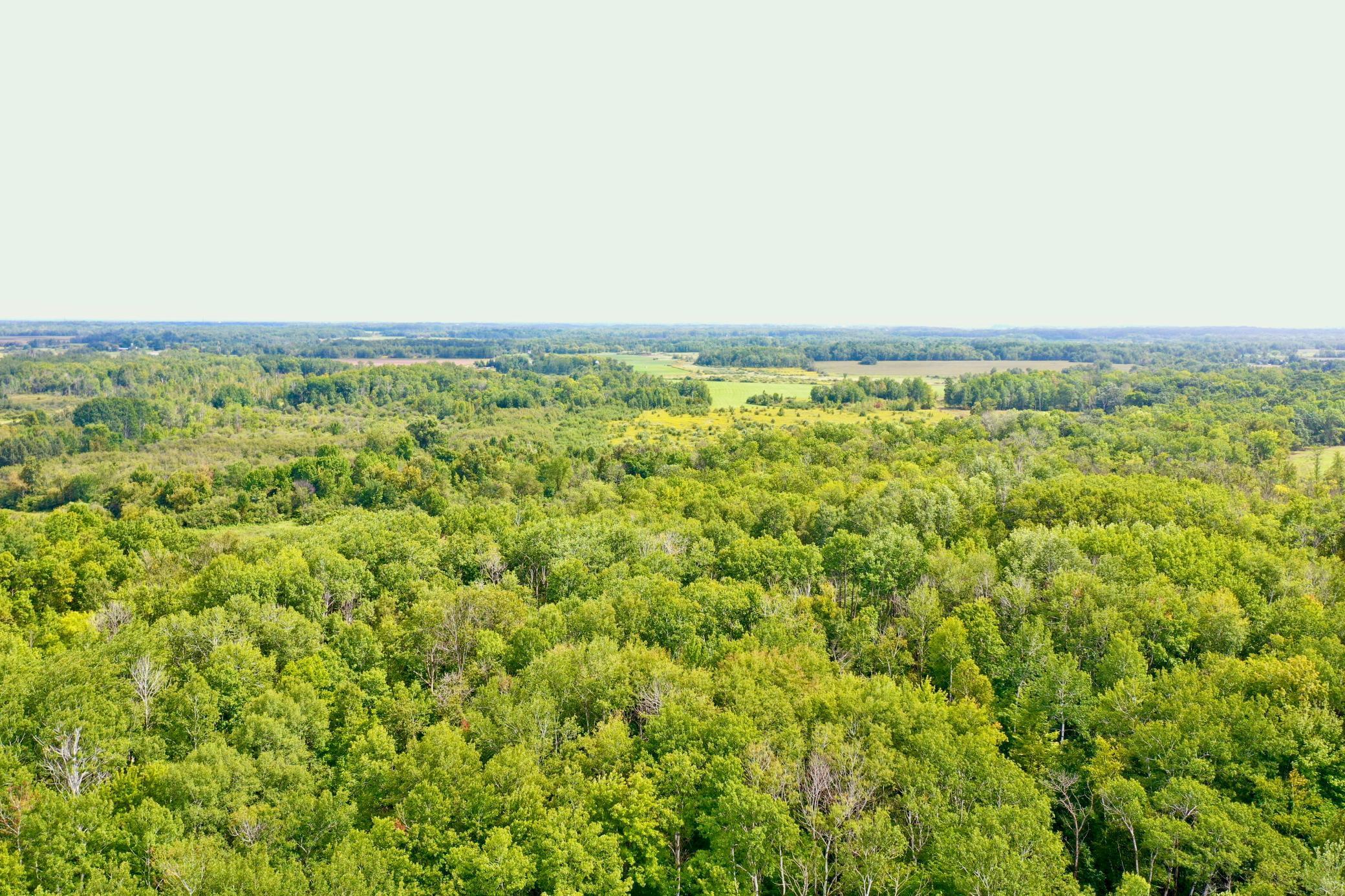 33622 Aspen Road Hinckley, MN 55037 - Photo 4 of 44