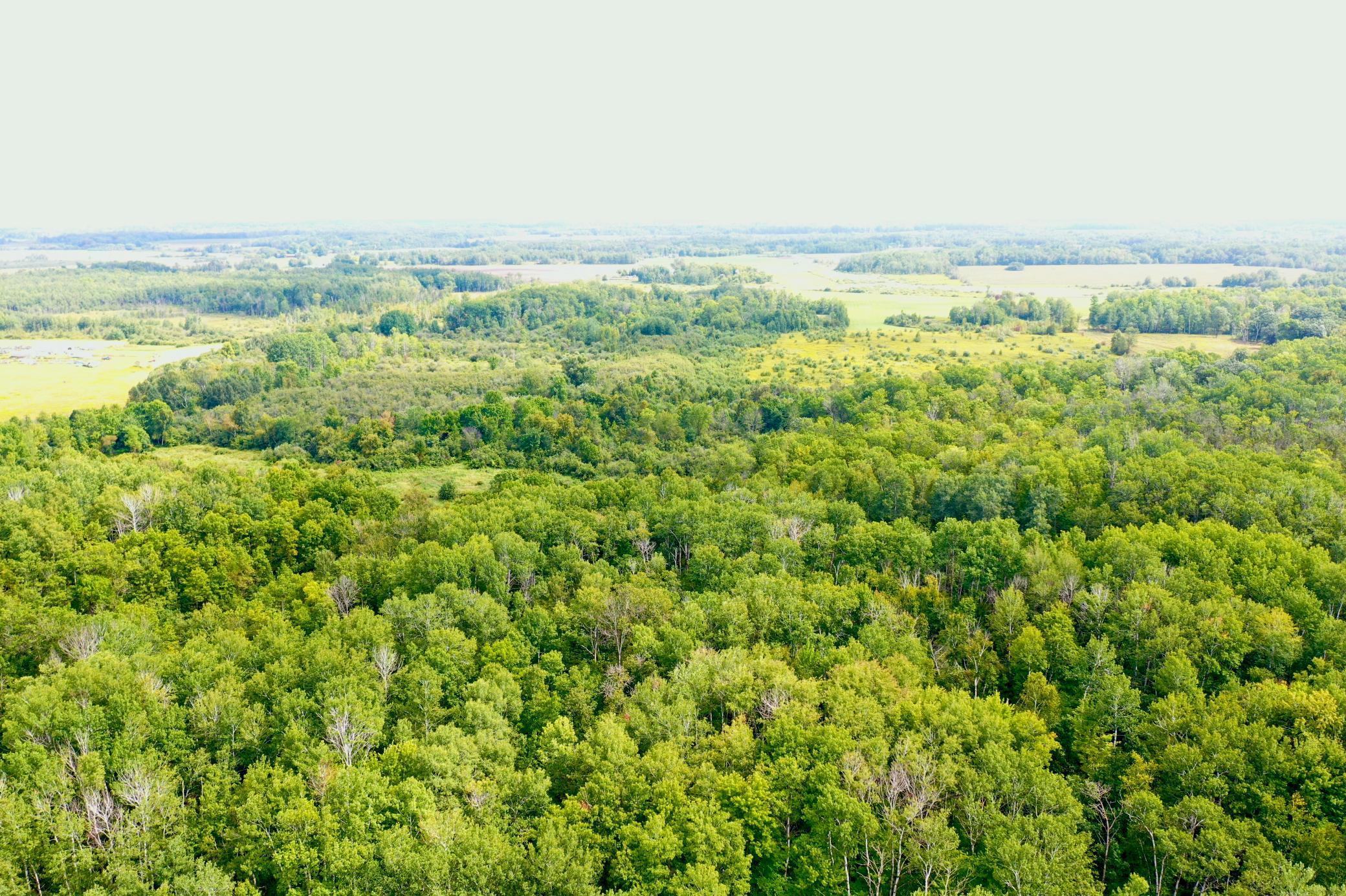 33622 Aspen Road Hinckley, MN 55037 - Photo 5 of 44