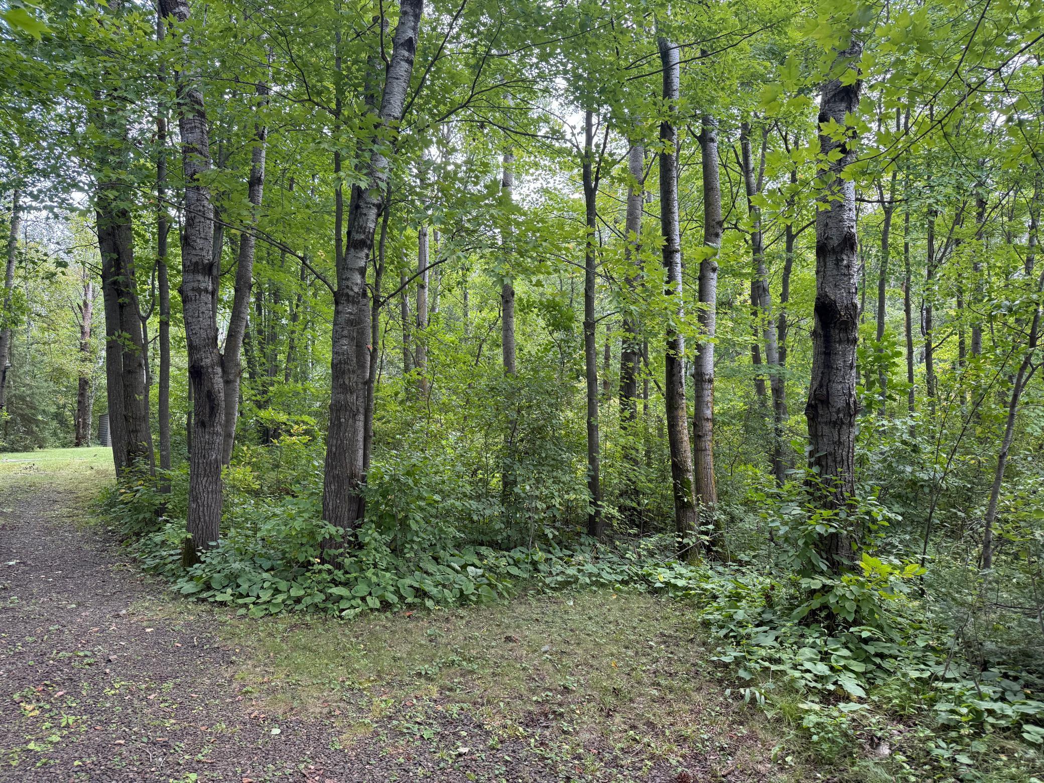 33622 Aspen Road Hinckley, MN 55037 - Photo 7 of 44