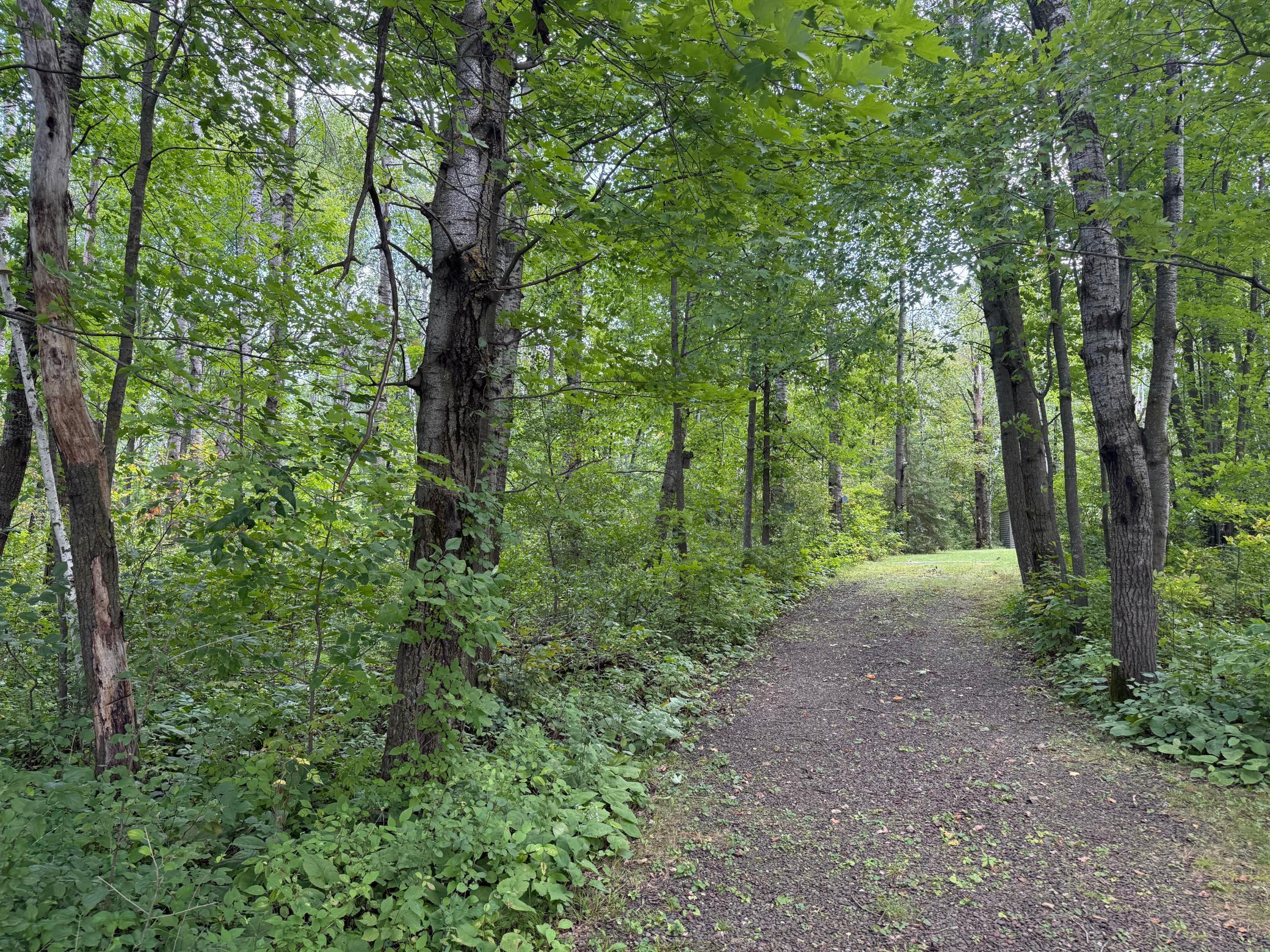 33622 Aspen Road Hinckley, MN 55037 - Photo 8 of 44