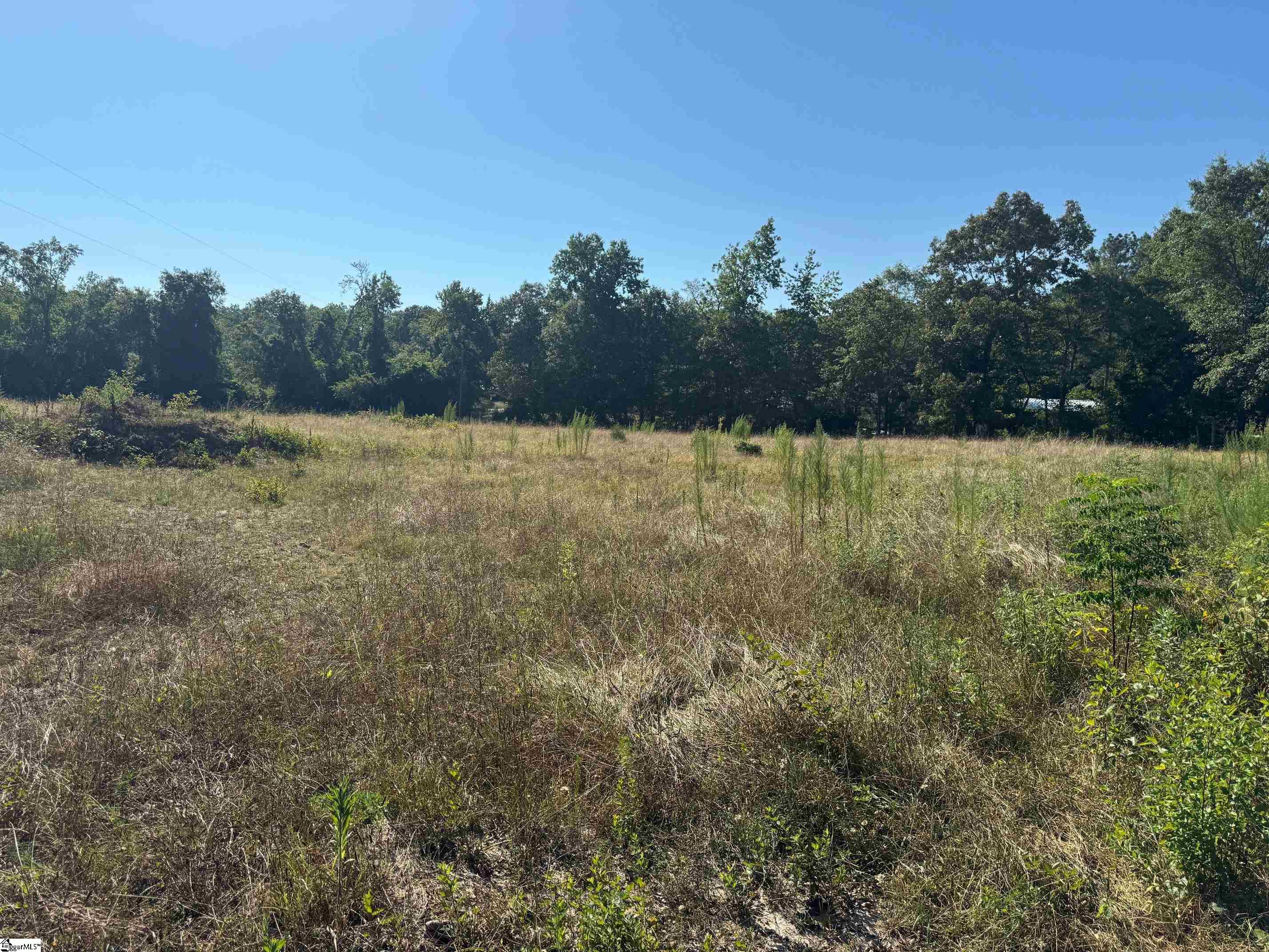 0 Mount Ariel Road Hodges, SC 29653 - Photo 2 of 2