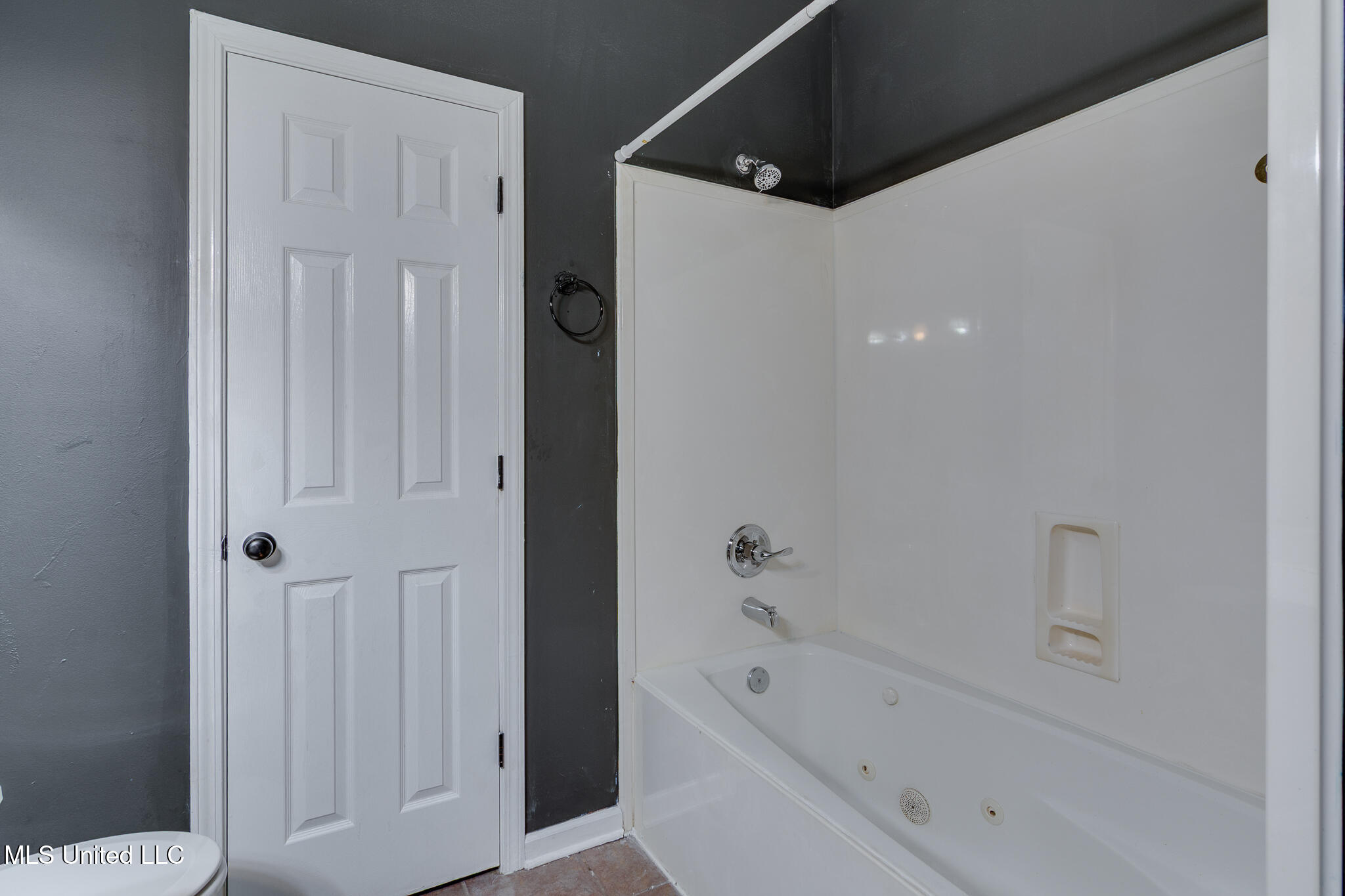 10495 Spring River Cove Lake Cormorant, MS 38641 - Photo 28 of 50 10495 Spring River Cove-29